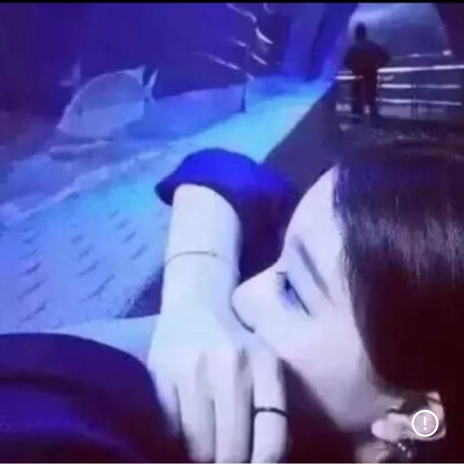 阿珊家的小丑鱼