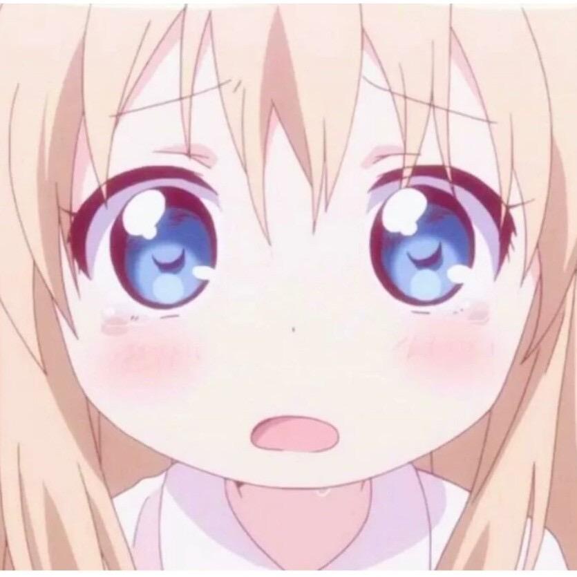 陈猪猪