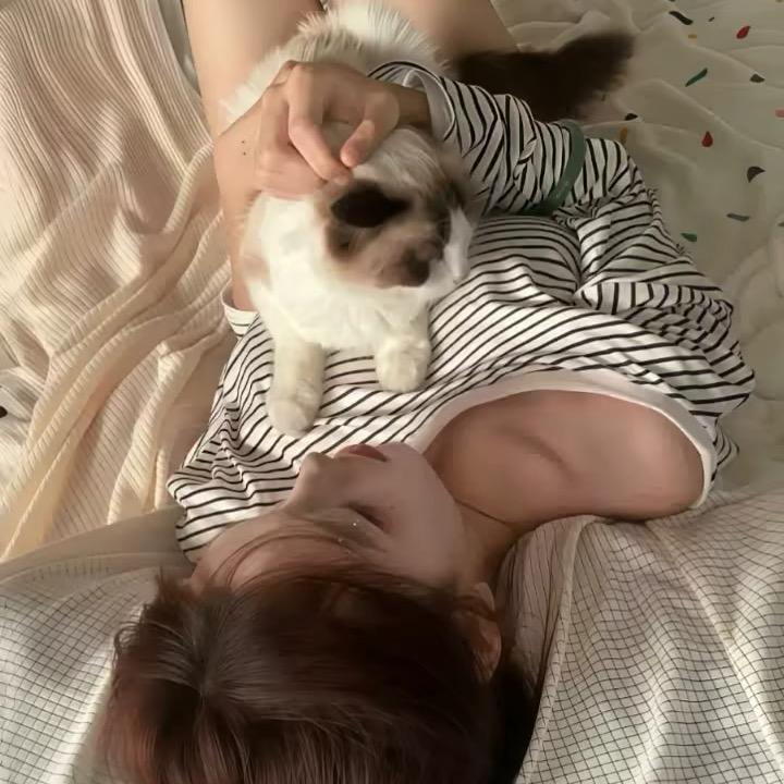 小姜饼^