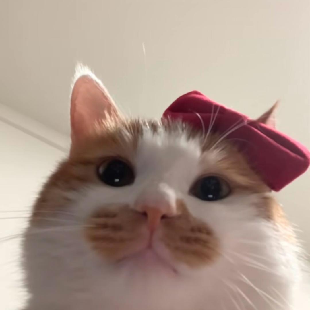 1111