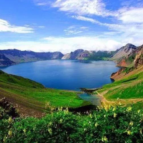 东山上的棒槌