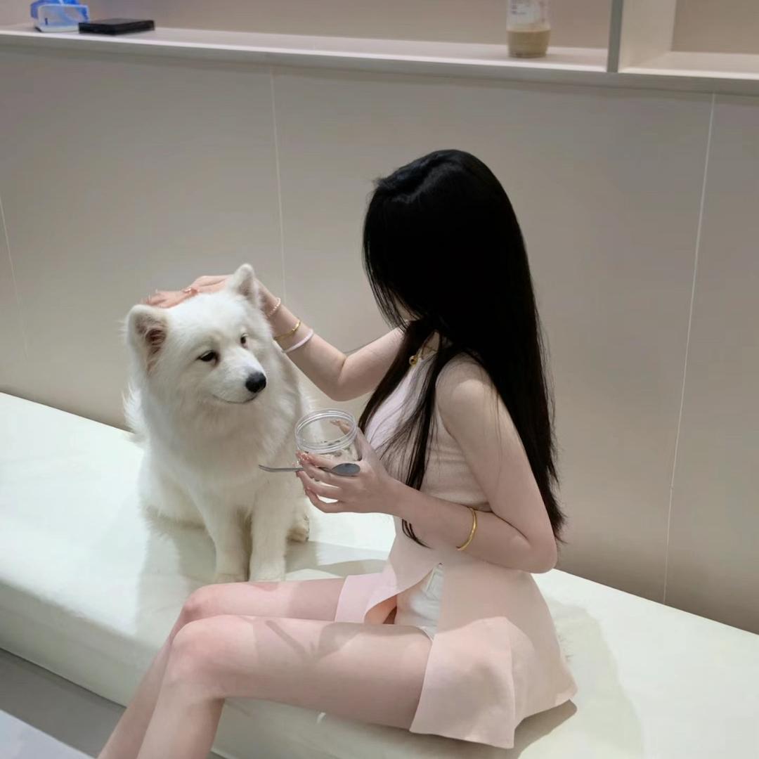 椰椰