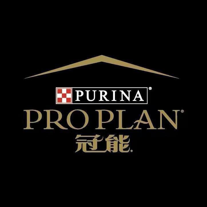 冠能狗粮直播间