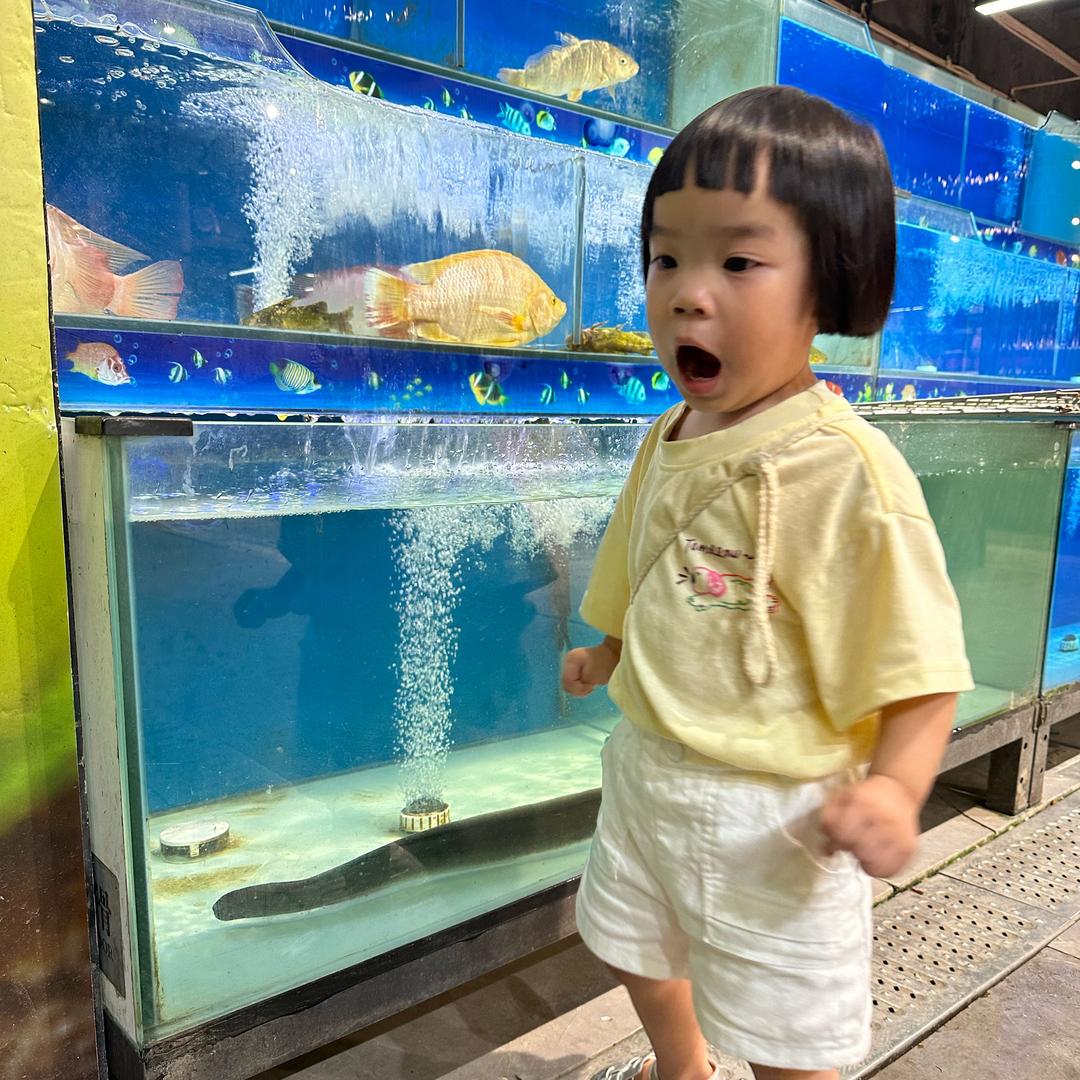 俩娃护航者