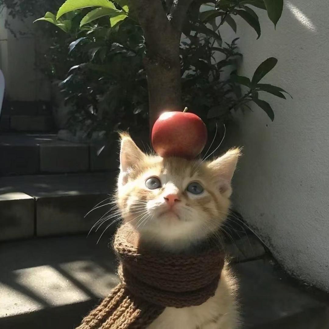 睡个好觉