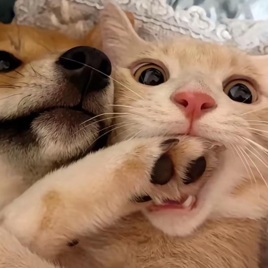 **海的那边还是海JC🌈🌈