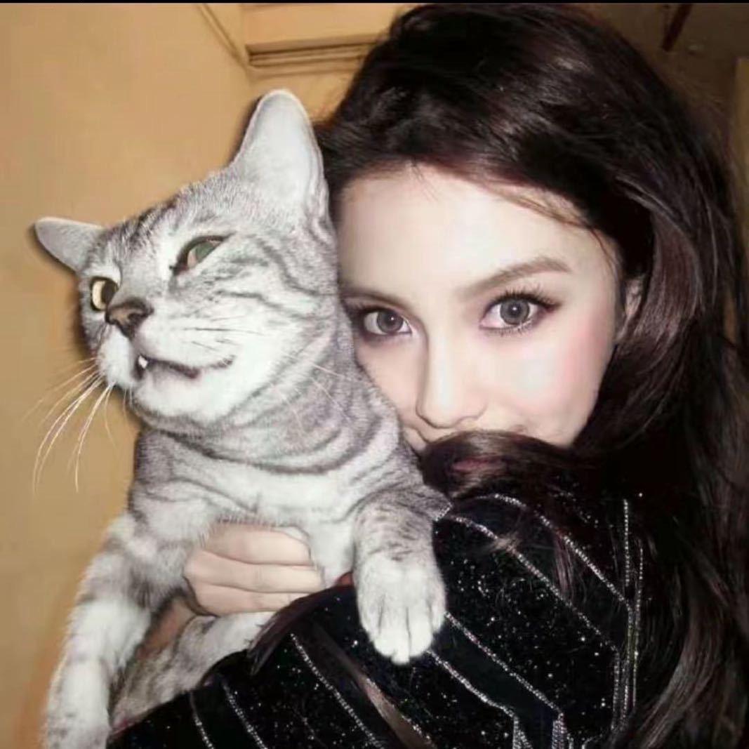 杨心如