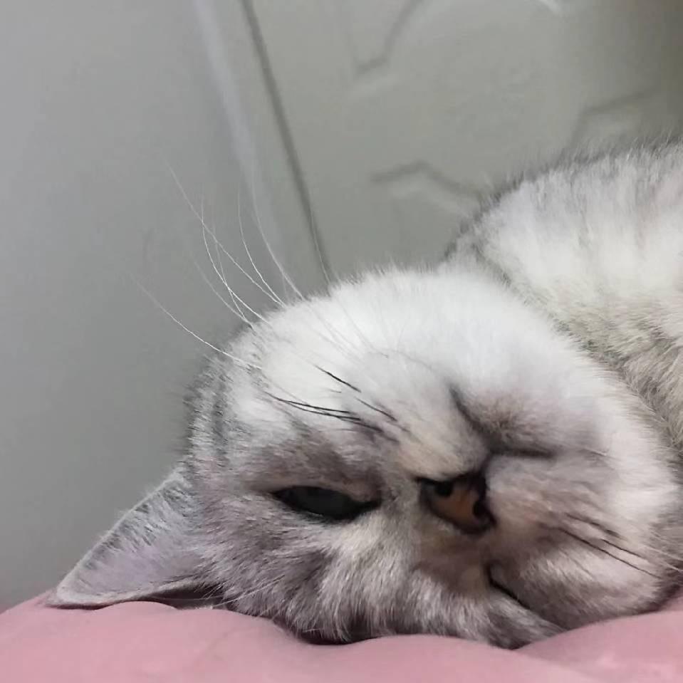 爱吃泡面