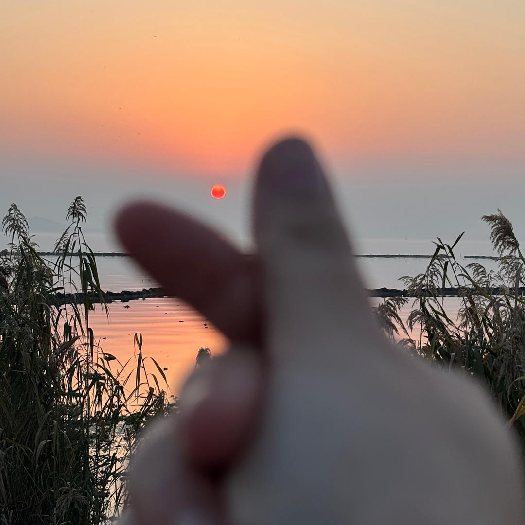 努力减脂的小猴子（目标40斤）