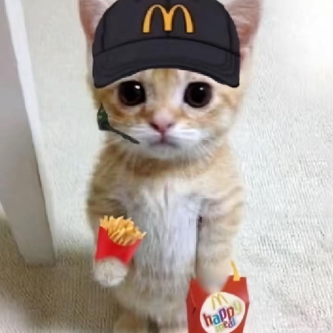 薯条🍟
