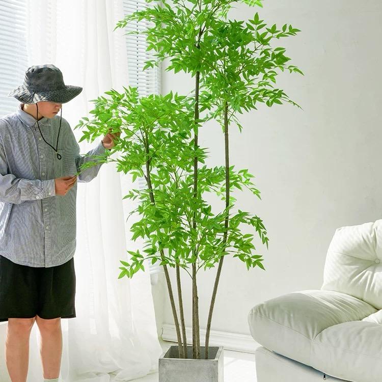 都说我最近帅了