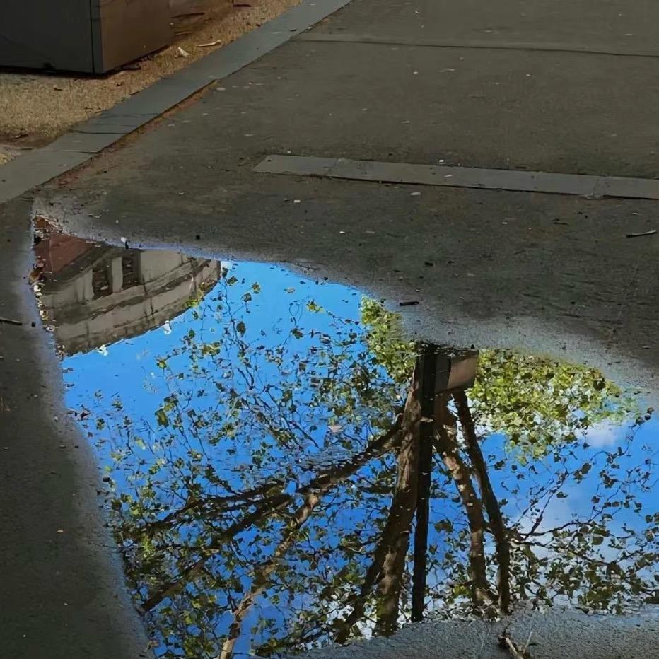 吃一百种水果的天才美少女