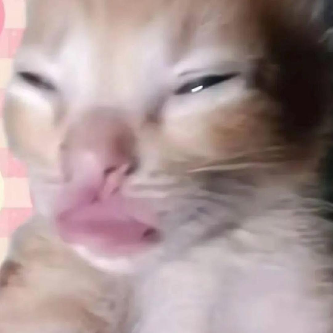 啊哦啊哦