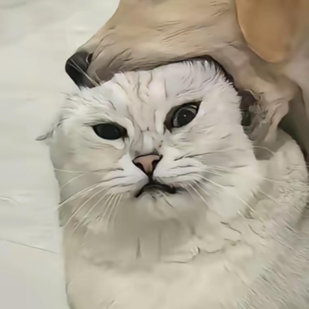 二十六画.