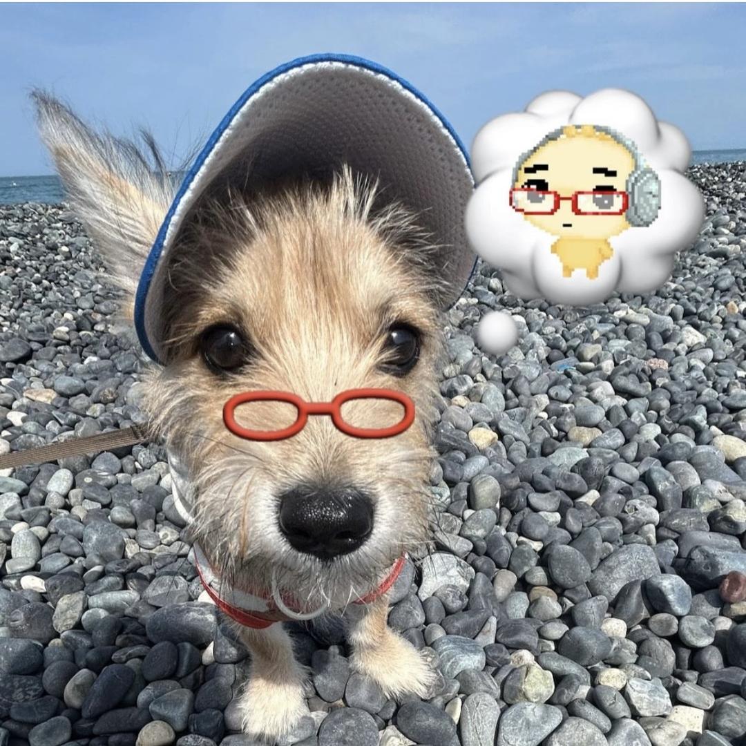 我女朋友全世界最可爱