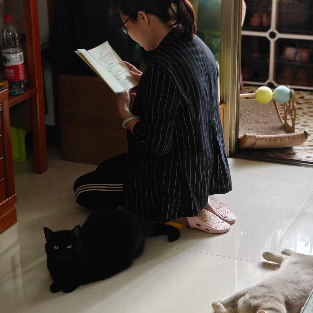 跟猫妈妈撸猫读经学智慧