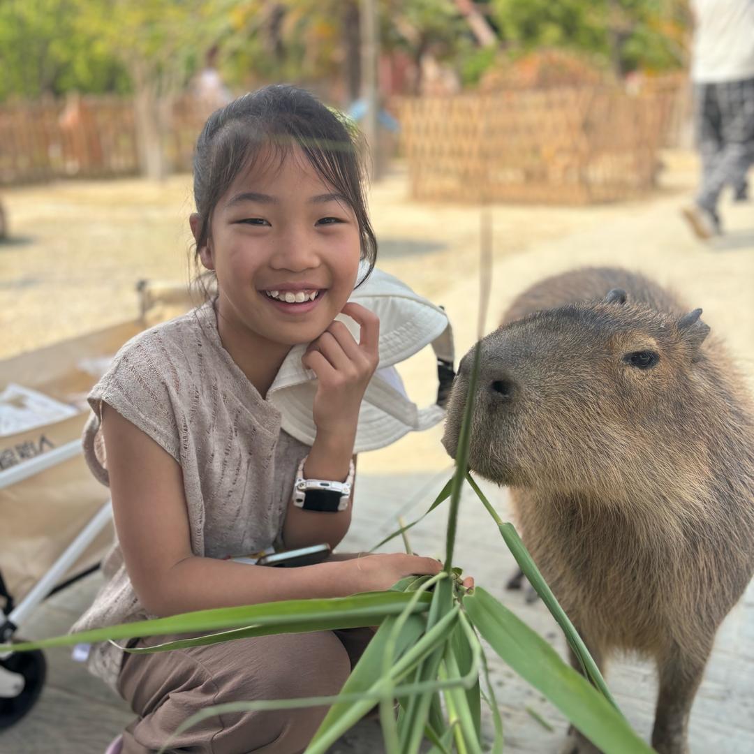 美好的生活