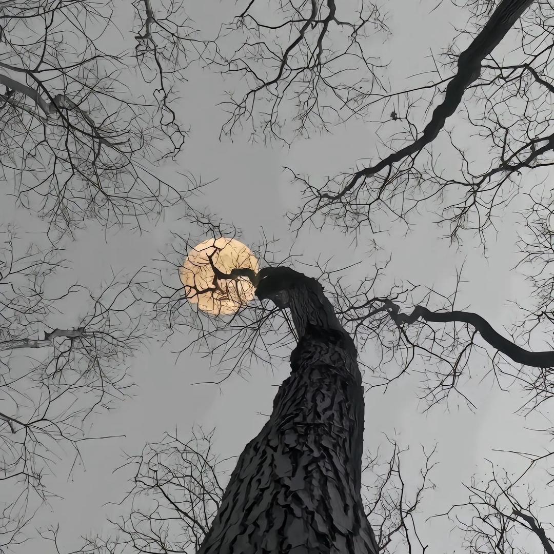 别十一（三角洲行动）