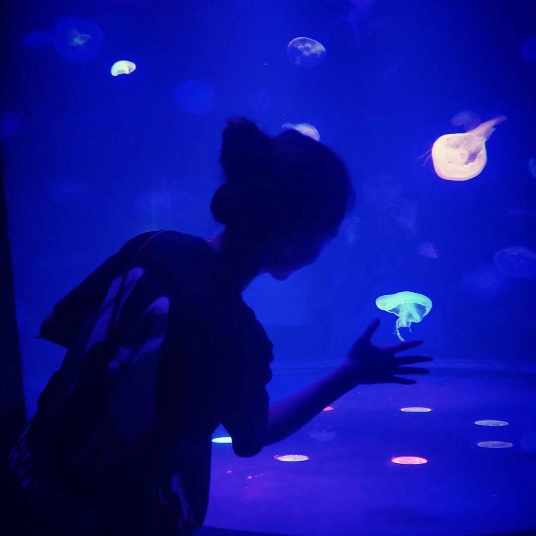 自由虾