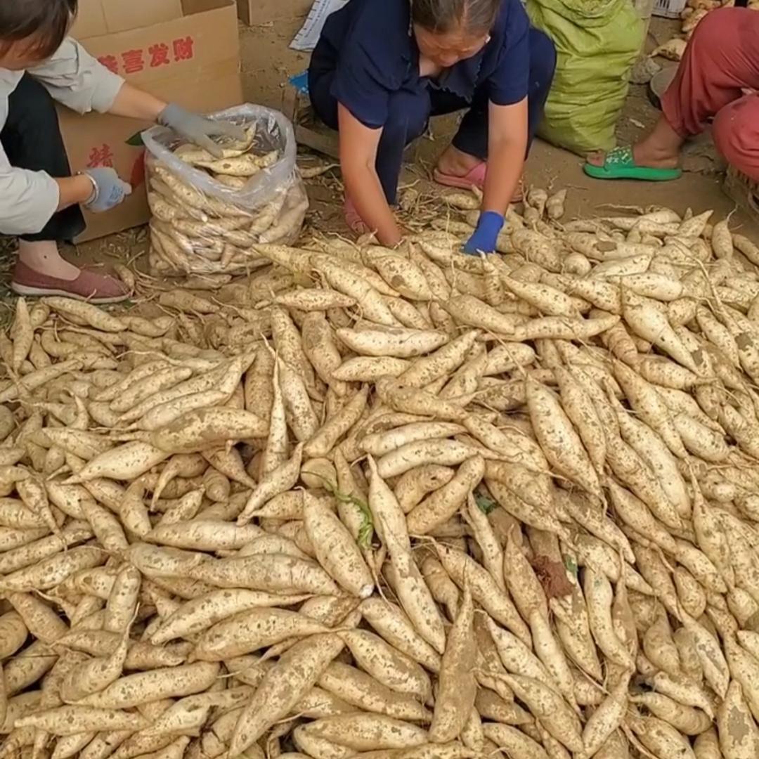 青青河边草草