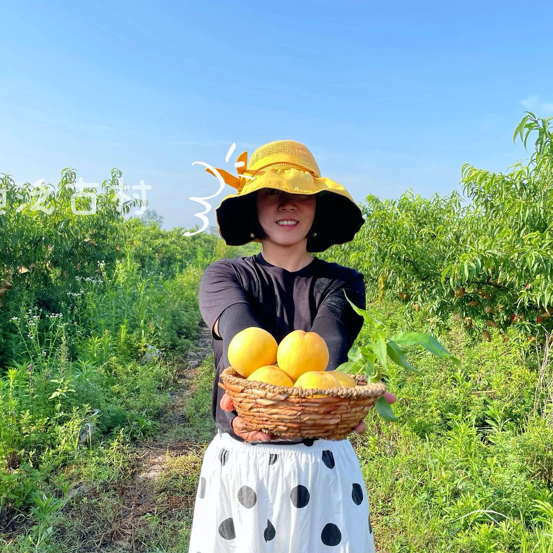 仙桃市渔泛峰旅游农家院