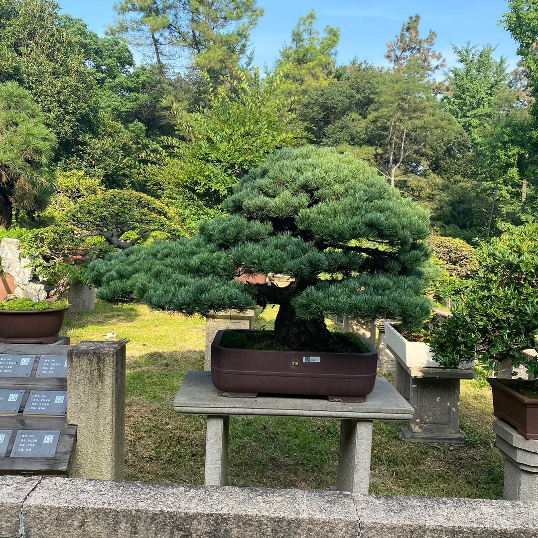 淮北居士
