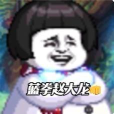 蓝拳赵大龙