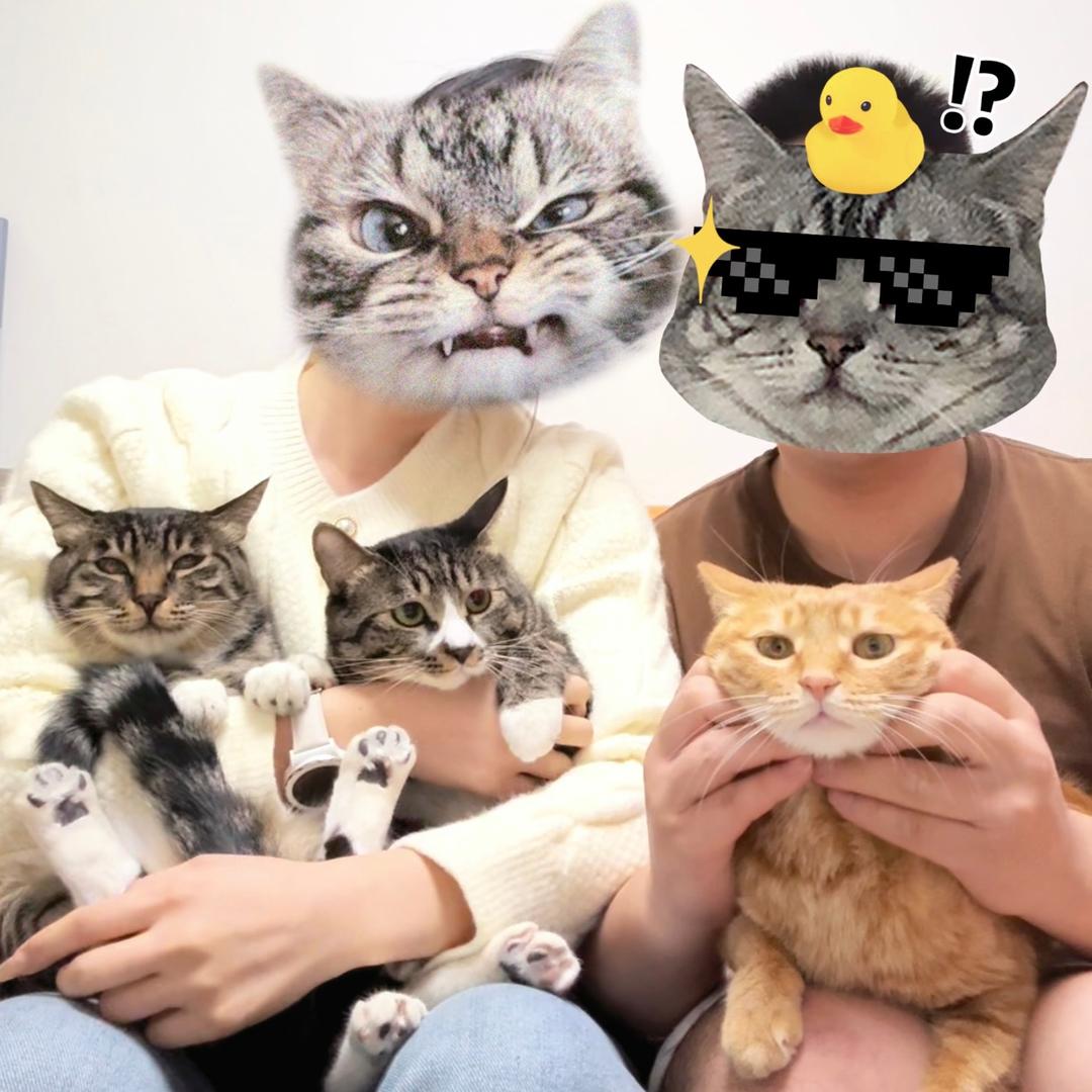 我有叁只猫