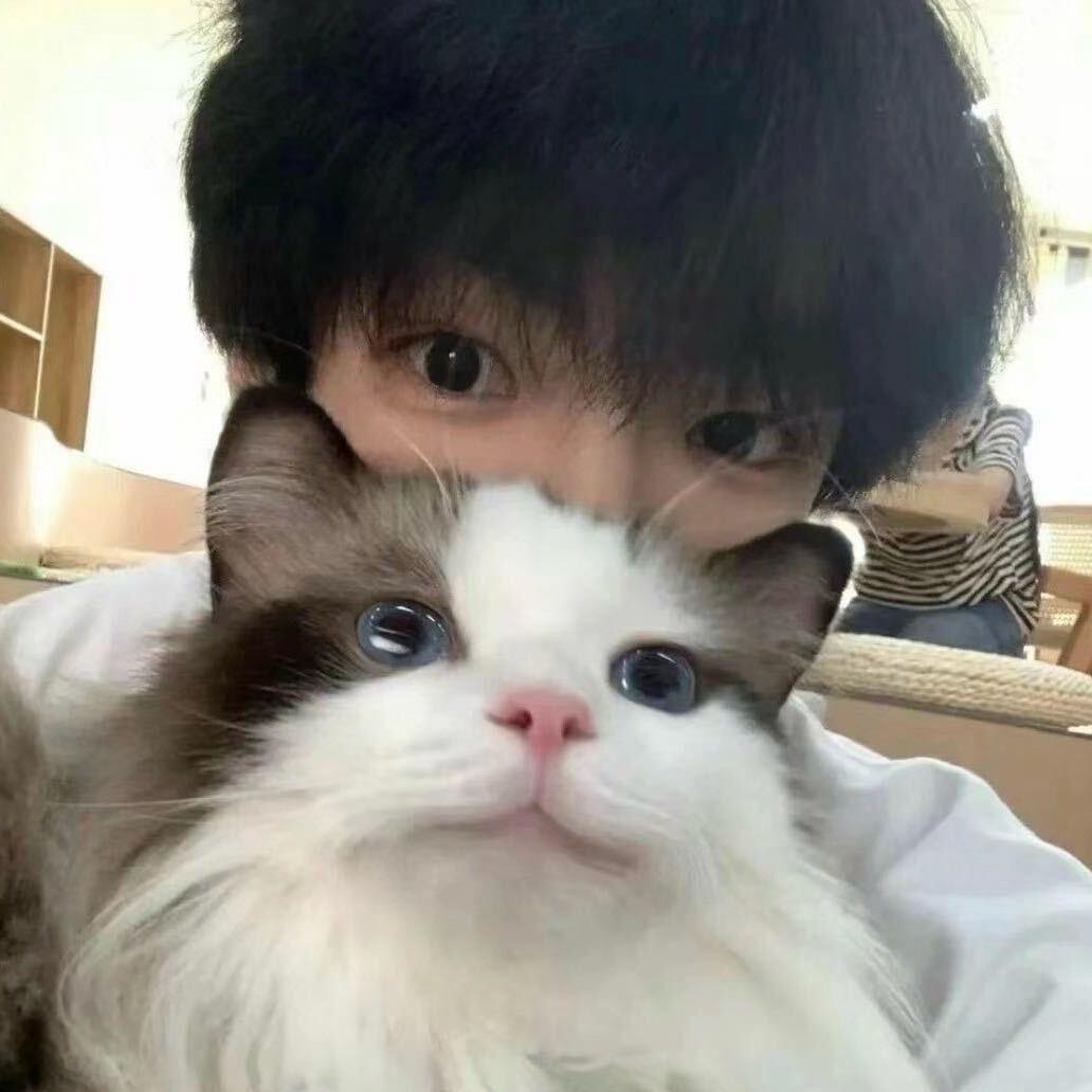 苏沐宸c