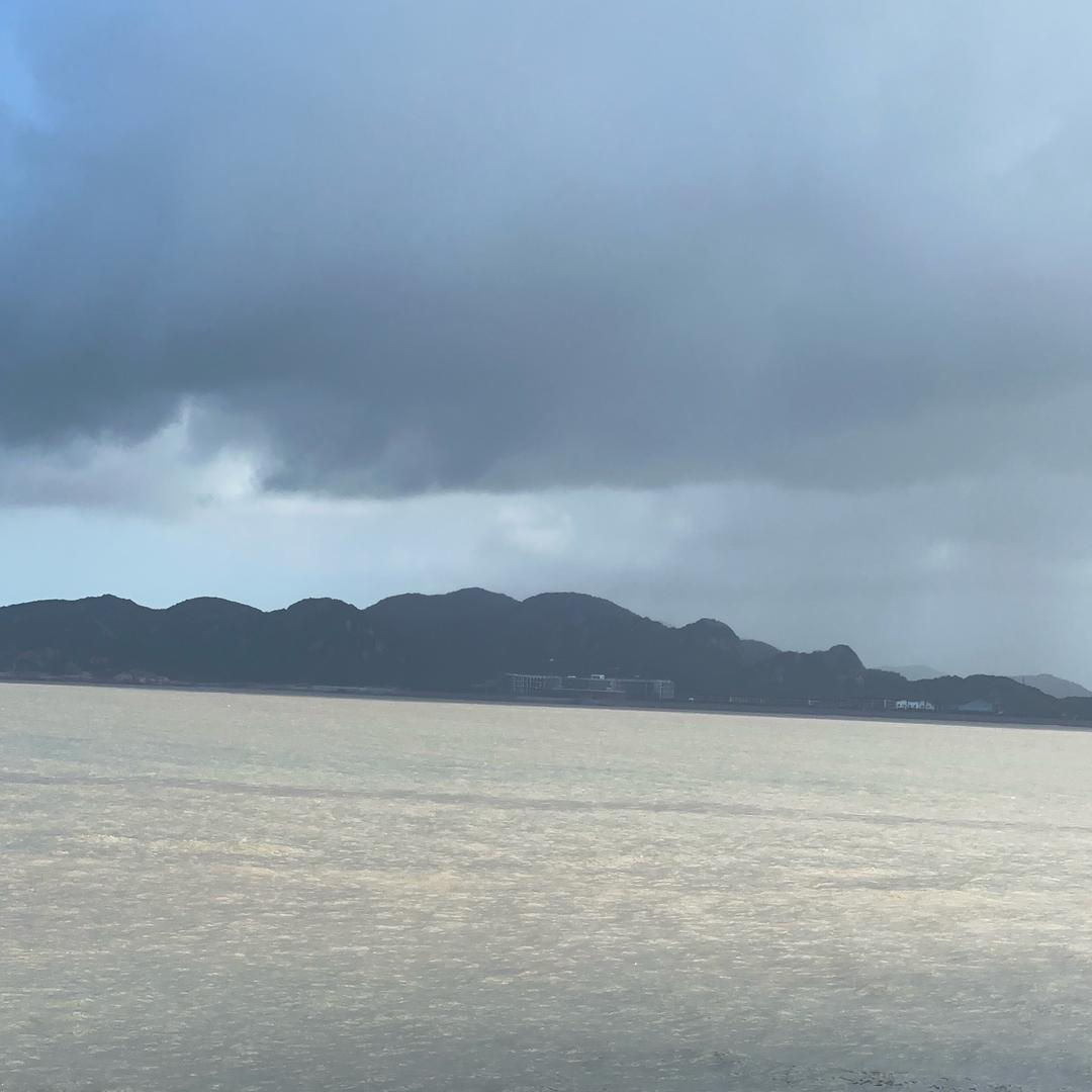 金琪（张总太太）