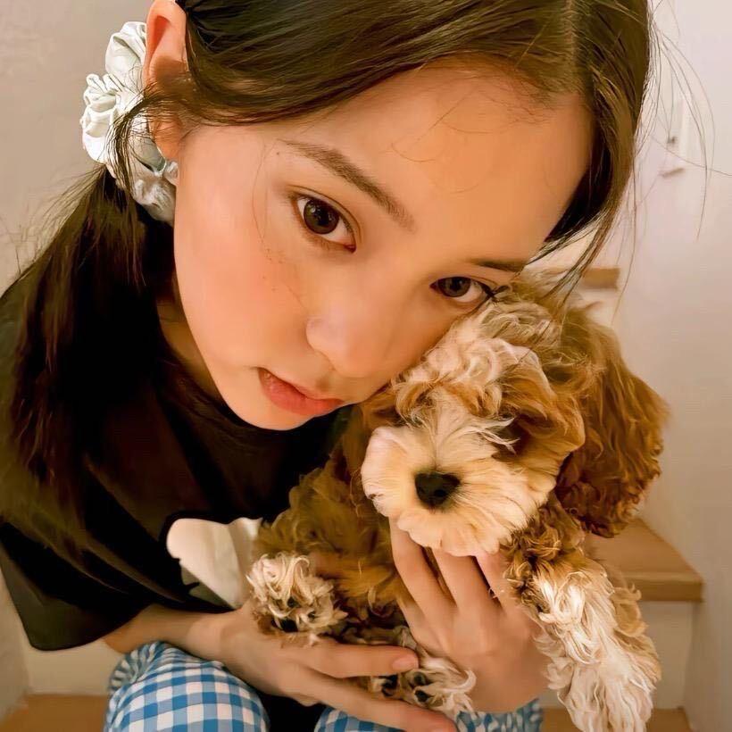 不太擅长与人类交流