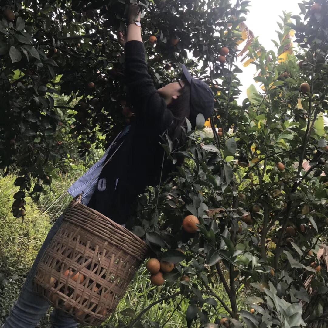 懿想不到