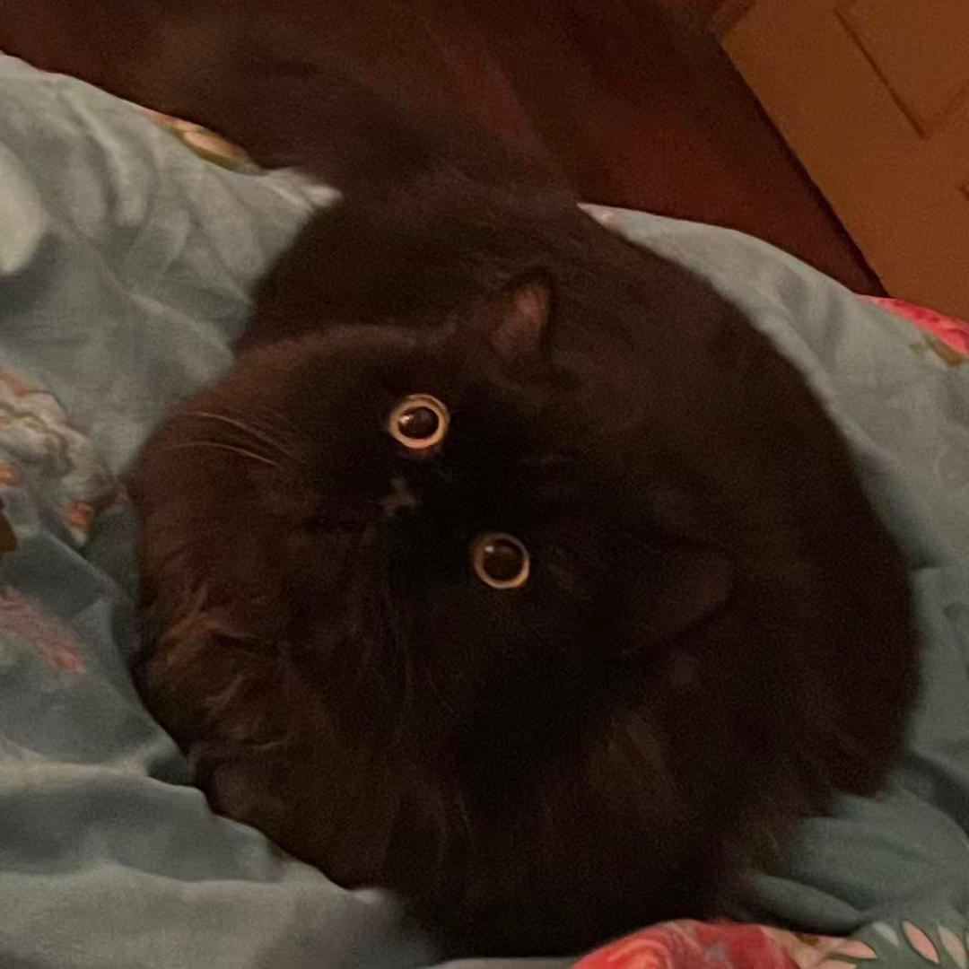 超级无敌宇宙霹雳爆炸极恶贝利亚