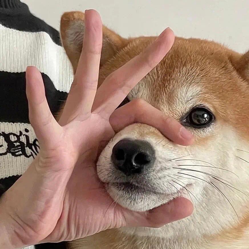 呜呼~
