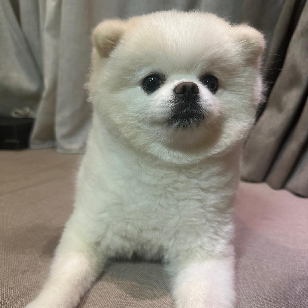 快乐的早产儿
