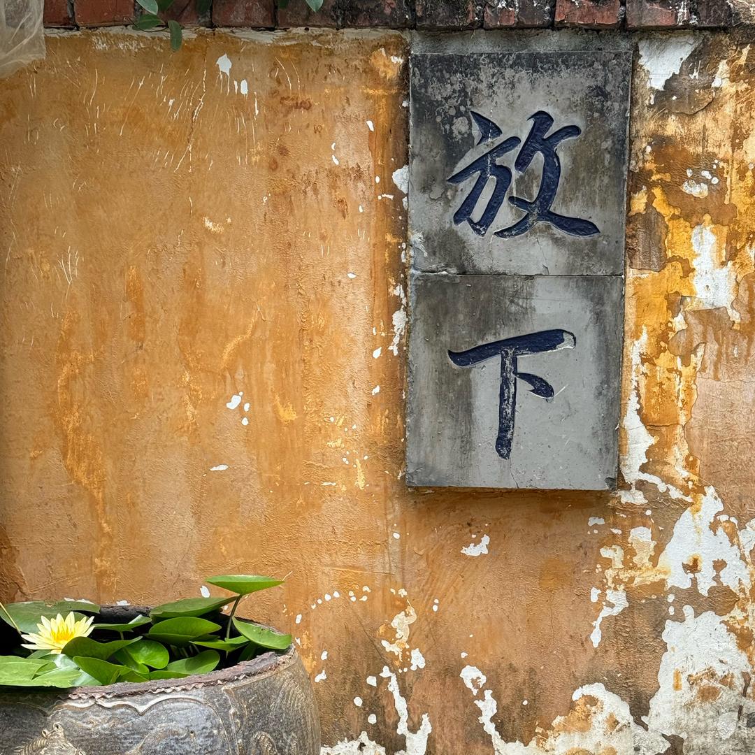 爱丽