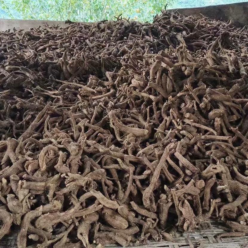 情非得已