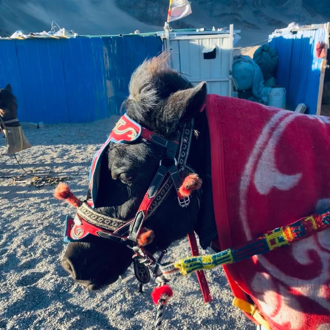 ༺༃扎༒西༃༻