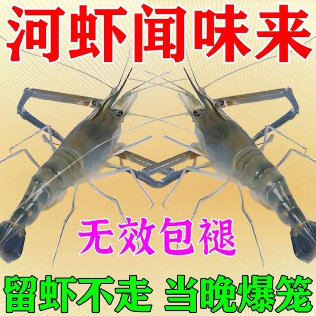专业户外抓河虾