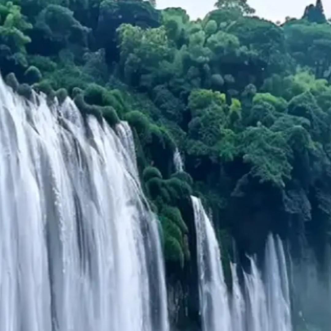 云飞巡山货@