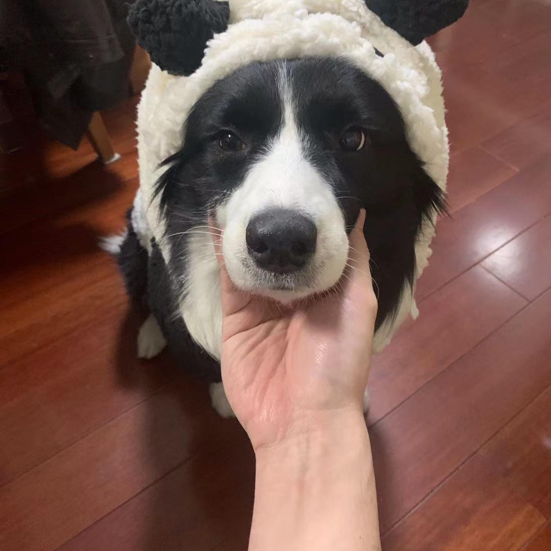 慢慢想想懂得
