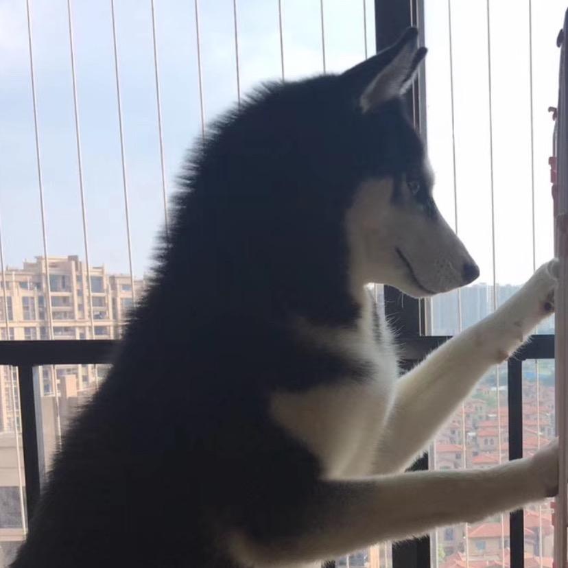 唔系针男人