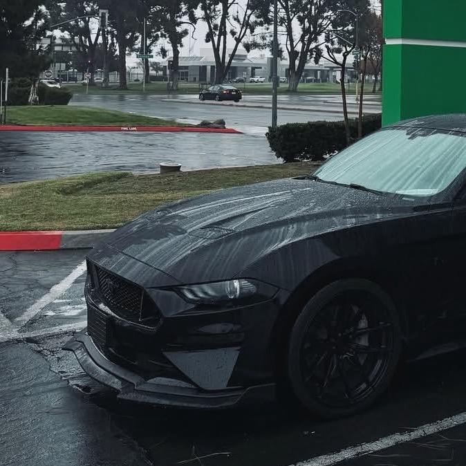 人才坤的肥头鲨鱼