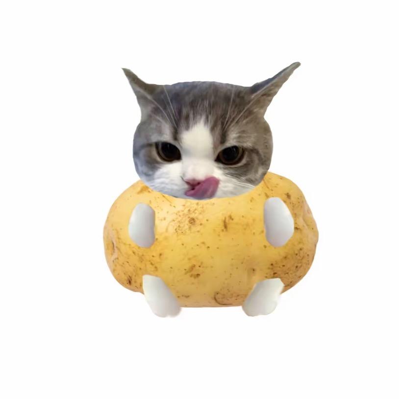 potato