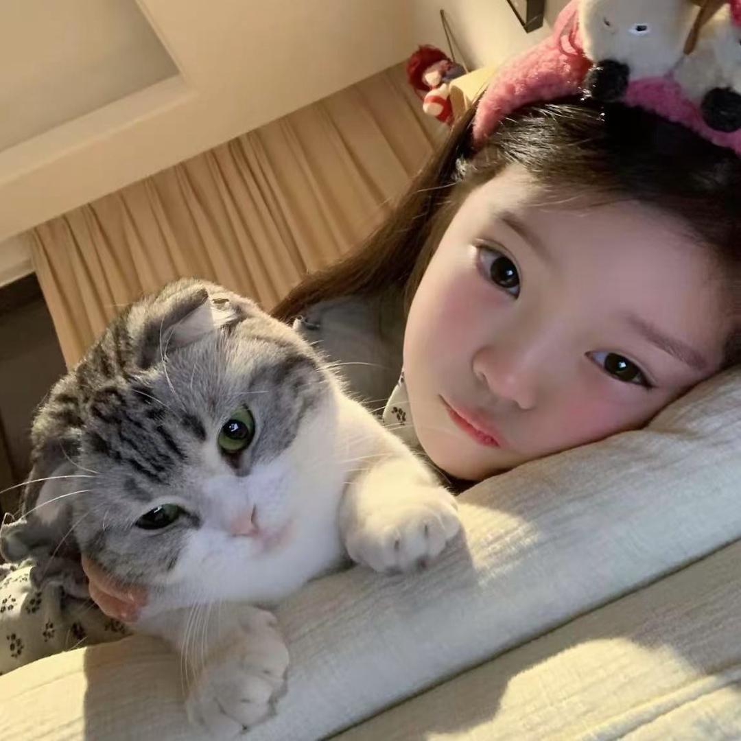 苏宝💗