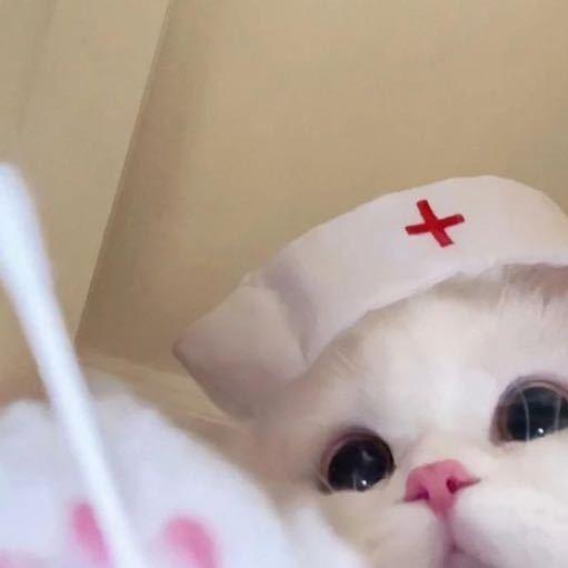 拖拉虫