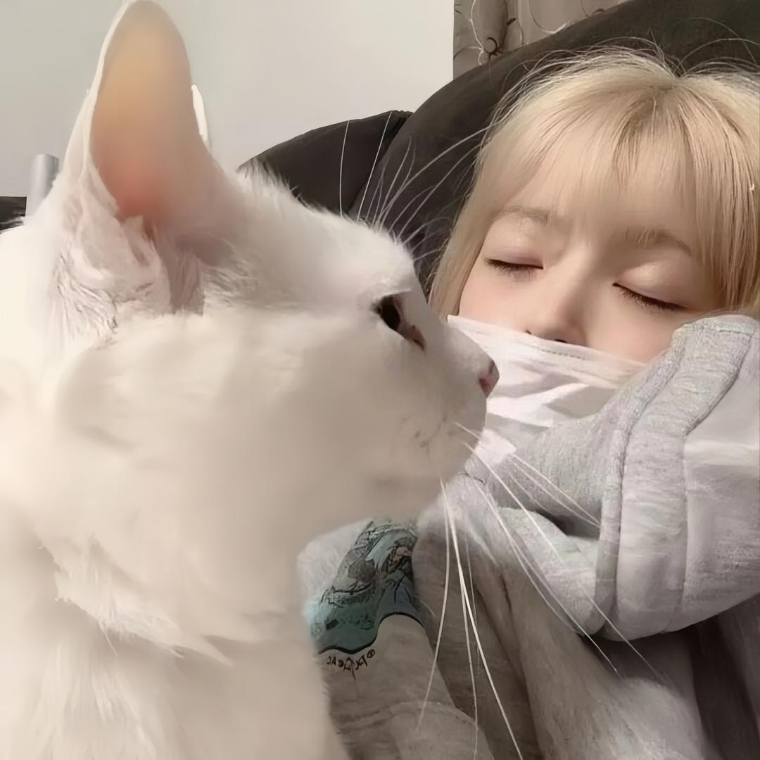 你 吗               🦭