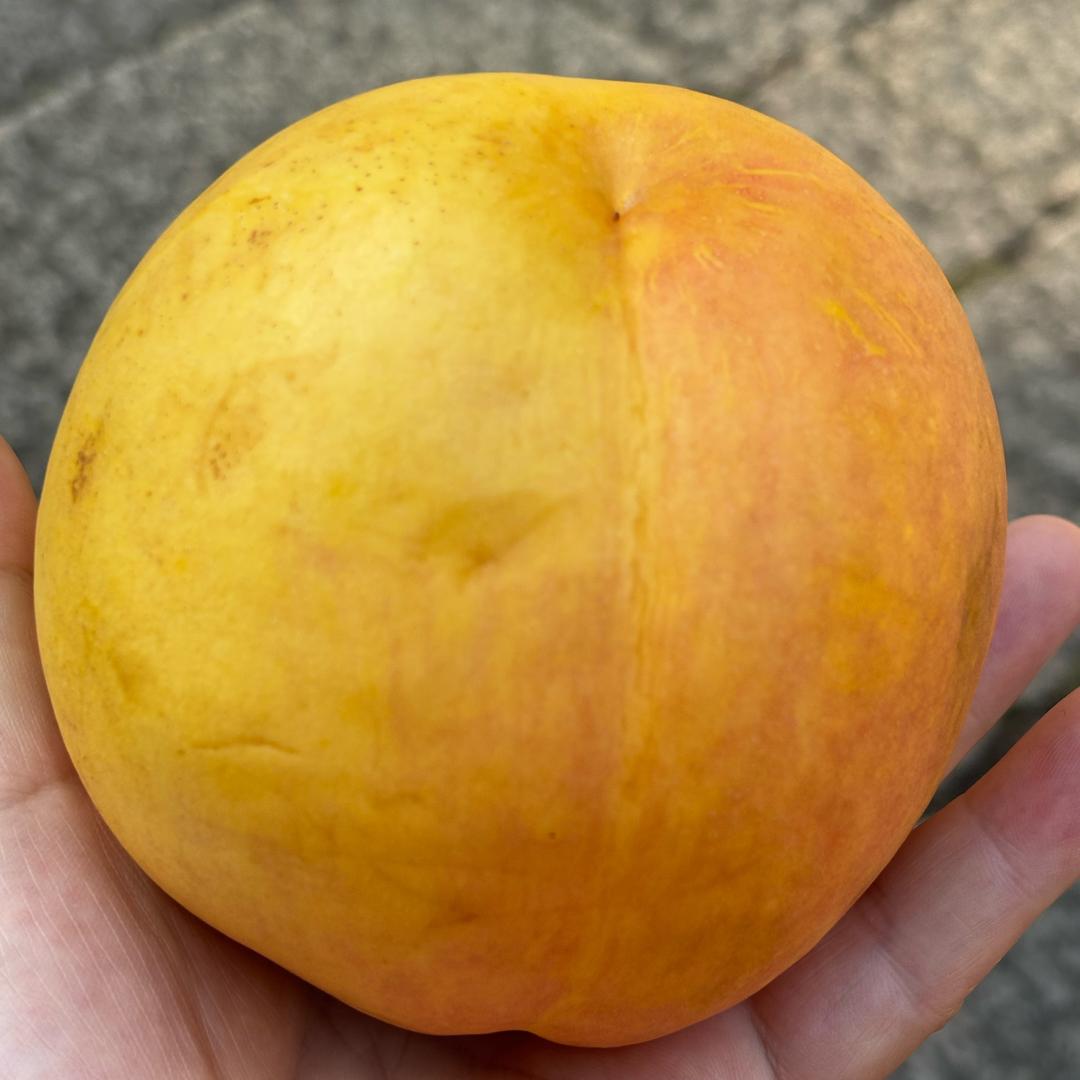 静心