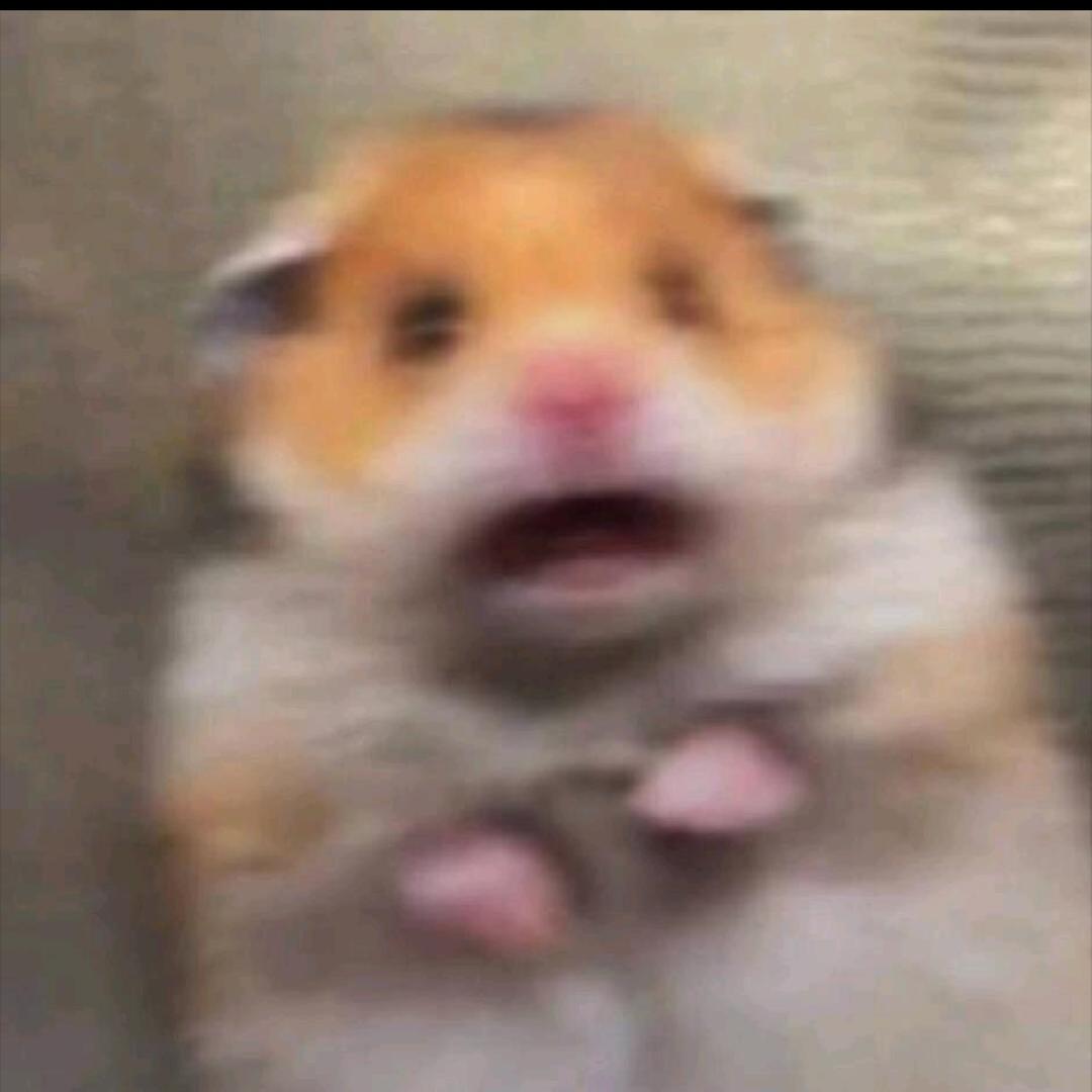 19o1_