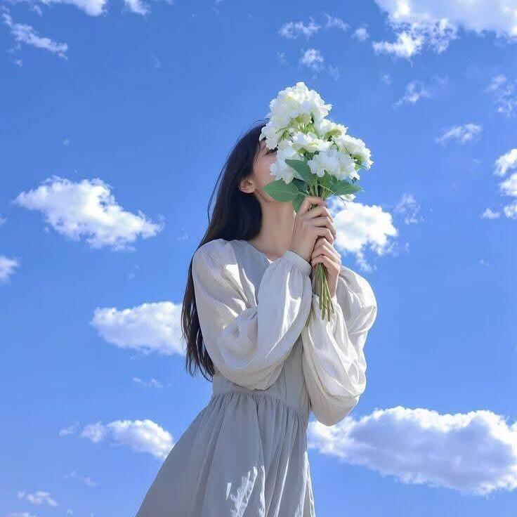 葵花好物推荐